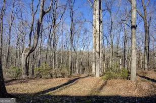 3355 Hwy 162, Covington, GA 30016 - Photo 47