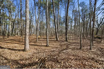 0 Mulberry Circle, Jasper, GA 30143 - Photo 5