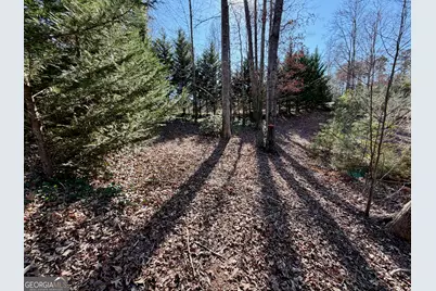 485 Imperial Drive, Martin, GA 30557 - Photo 1