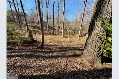 485 Imperial Drive, Martin, GA 30557 - Photo 3