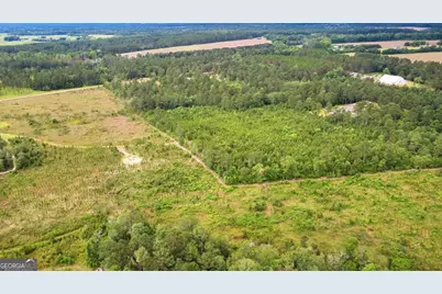 0 Moore Road, Register, GA 30452 - Photo 3