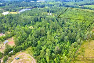 0 Moore Rd, Register, GA 30452 - Photo 1