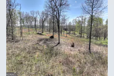 6 Arbor Creek Trail #6, Mineral Bluff, GA 30559 - Photo 1