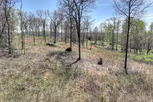 6 Arbor Creek Trail, Mineral Bluff, GA 30559 - Photo 1