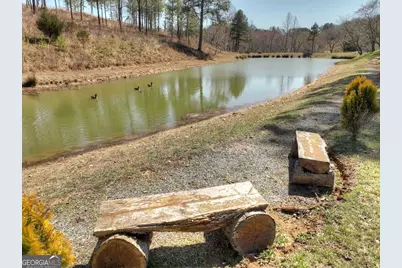 6 Arbor Creek Trail #6, Mineral Bluff, GA 30559 - Photo 5