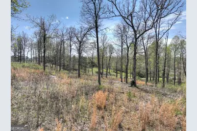 6 Arbor Creek Trail #6, Mineral Bluff, GA 30559 - Photo 7