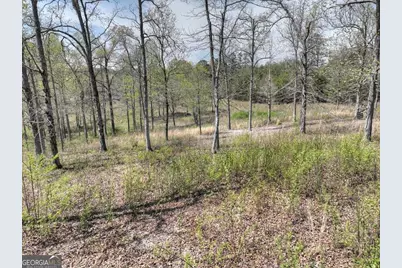 6 Arbor Creek Trail #6, Mineral Bluff, GA 30559 - Photo 9