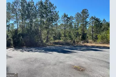 0 Landing Trail, Waynesville, GA 31566 - Photo 7