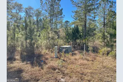 0 Landing Trail, Waynesville, GA 31566 - Photo 5