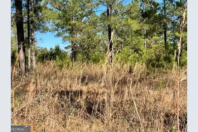 0 Landing Trail, Waynesville, GA 31566 - Photo 3