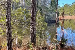 0 Landing Trail, Waynesville, GA 31566 - Photo 1