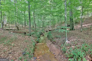 460 Morgan Mill Rd, Brooks, GA 30205 - Photo 23