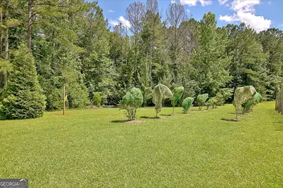 460 Morgan Mill Road, Brooks, GA 30205 - Photo 19