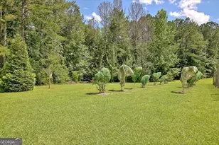 460 Morgan Mill Rd, Brooks, GA 30205 - Photo 19