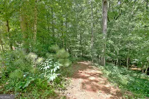 460 Morgan Mill Rd, Brooks, GA 30205 - Photo 21