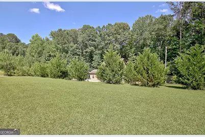 460 Morgan Mill Road, Brooks, GA 30205 - Photo 9