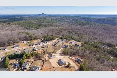 613 Cypress Drive, Mount Airy, GA 30563 - Photo 9