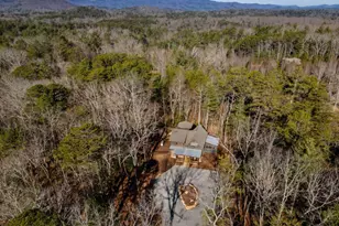 2594 Hwy 2, Blue Ridge, GA 30513 - Photo 3