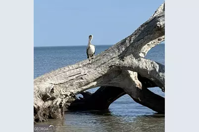 306 Reserve Lane, Saint Simons, GA 31522 - Photo 19