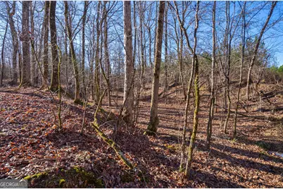 0 Lower Harmony Road, Eatonton, GA 31024 - Photo 35