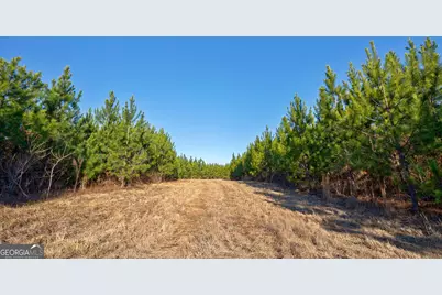 0 Lower Harmony Road, Eatonton, GA 31024 - Photo 9