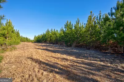 0 Lower Harmony Road, Eatonton, GA 31024 - Photo 17