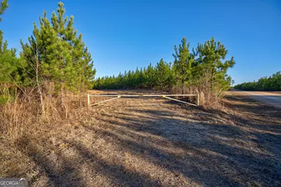 0 Lower Harmony Road, Eatonton, GA 31024 - Photo 43