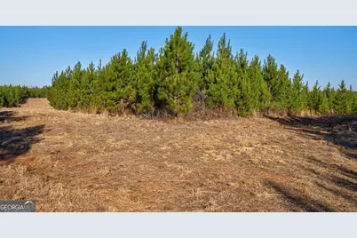 0 Lower Harmony Road, Eatonton, GA 31024 - Photo 13