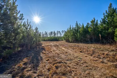 0 Lower Harmony Road, Eatonton, GA 31024 - Photo 11