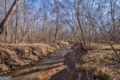 0 Lower Harmony Road, Eatonton, GA 31024 - Photo 31