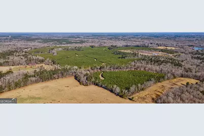 0 Lower Harmony Road, Eatonton, GA 31024 - Photo 41