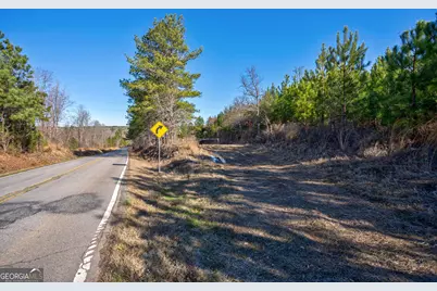 0 Lower Harmony Road, Eatonton, GA 31024 - Photo 37