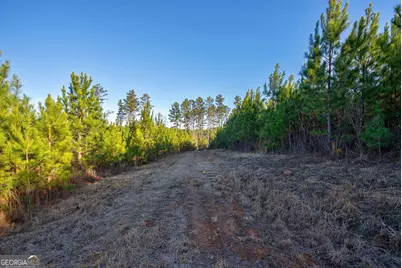 0 Lower Harmony Road, Eatonton, GA 31024 - Photo 5