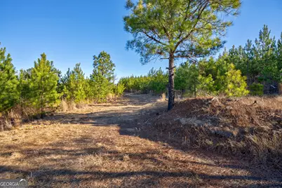 0 Lower Harmony Road, Eatonton, GA 31024 - Photo 21