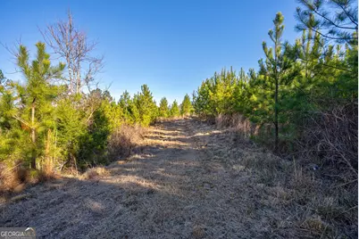 0 Lower Harmony Road, Eatonton, GA 31024 - Photo 23