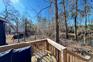 4674 Coleman Brg Spur, Cobbtown, GA 30420 - Photo 9