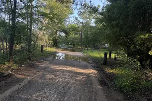 4674 Coleman Brg Spur, Cobbtown, GA 30420 - Photo 11