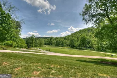 112 Fawn Way, Mineral Bluff, GA 30559 - Photo 9