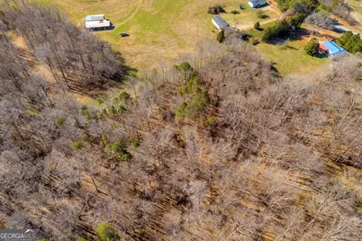 5831 Mize Road, Toccoa, GA 30577 - Photo 11