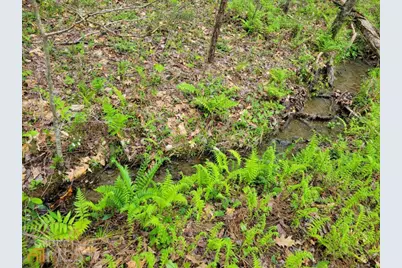 Lot27 Oak Ridge Way, Ellijay, GA 30536 - Photo 5