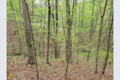 Lot27 Oak Ridge Way, Ellijay, GA 30536 - Photo 9