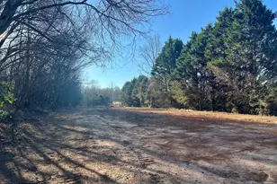 222 Mineral Springs Conn, Demorest, GA 30535 - Photo 3