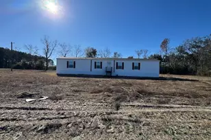 805 Smart Rd, Alma, GA 31510 - Photo 35