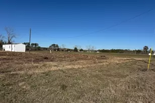 805 Smart Rd, Alma, GA 31510 - Photo 31