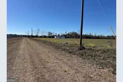 805 Smart Road, Alma, GA 31510 - Photo 29