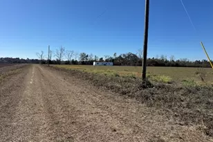 805 Smart Rd, Alma, GA 31510 - Photo 29