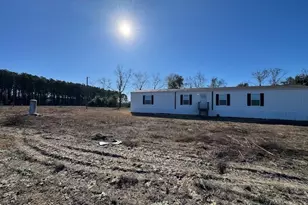 805 Smart Rd, Alma, GA 31510 - Photo 33