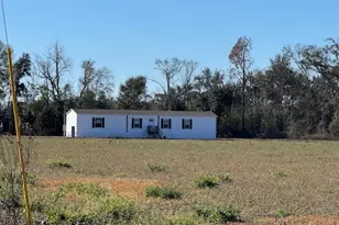 805 Smart Rd, Alma, GA 31510 - Photo 27