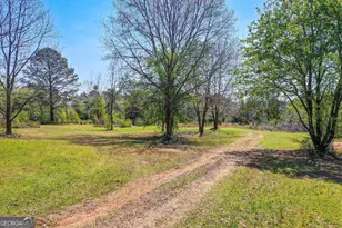 2532 High Falls Rd, Griffin, GA 30223 - Photo 11