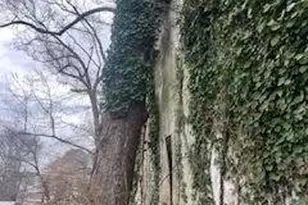 2487 Pleasantdale Rd, Atlanta, GA 30340 - Photo 13